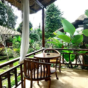 Affittacamere Astawa House